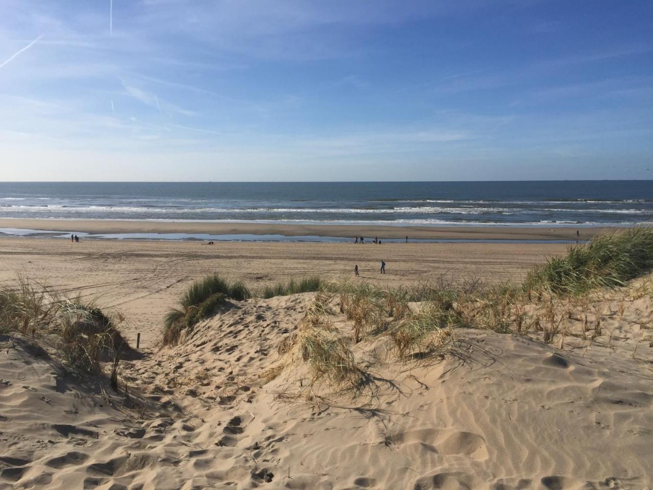 Duynsandt Zandvoort Buitenkant foto